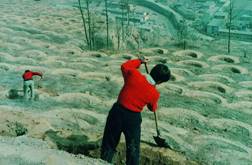 �_���~�[��