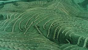 �~�[�����w�D