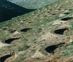 �~�[�ӂ���