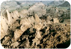 �������g��������