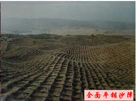 ȫ��ƽ�ɳ��