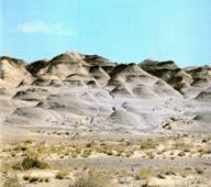 �L(f��ng)�����g