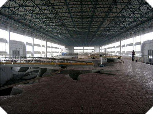 ģ���S�Ӵ�d