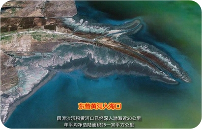 �S������ڣ��l(w��i)���R�^��