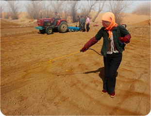 ����ɳĮ��