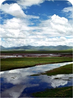 �S�Ӱl(f��)Դ��