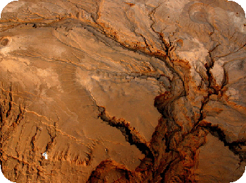 ���ɵ�����������ˮ����ʧ