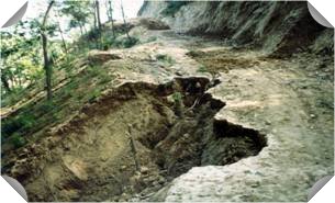 ���µ�·���g