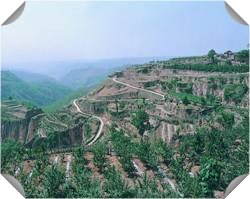 ����ˮ��