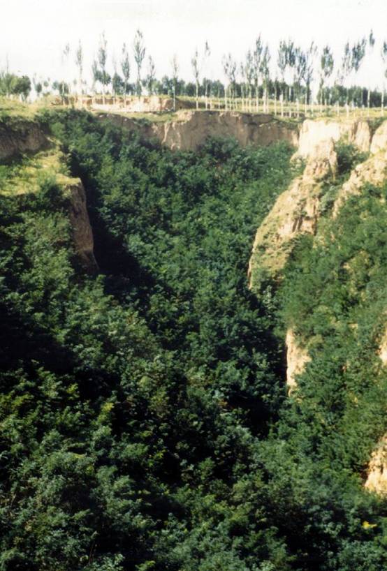 ���^����