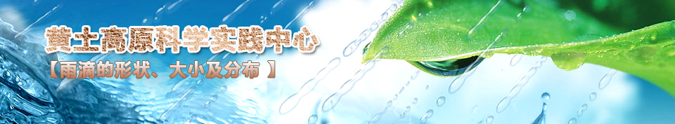 ��ε��Π��С���ֲ�