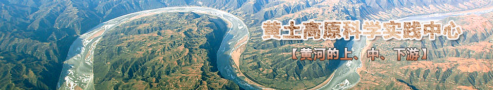 �S�ӵ��ϡ���������