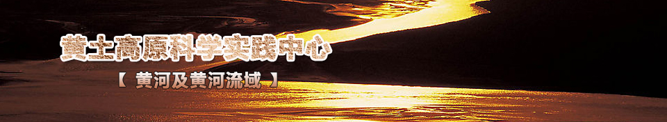 �S�Ӽ��S������