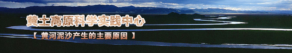 �S����ɳ�a(ch��n)������Ҫԭ��