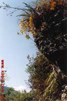 ���������£����»��^�mʢ�_�����ݮ��z��