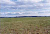 �|韵ă�(n��i)�ɹŲ�ԭ