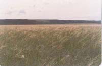 ��(n��i)�ɹŴ��é���Ͳ�ԭ