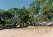 �����_(d��)��ɳ�ػ����¶ɳ��