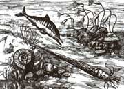 ���C������ԭʼ��������