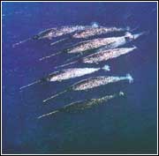 �����ڱ����󺣅^(q��)�Ī��_�L