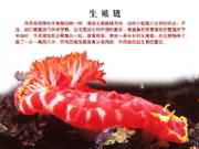 ����a��ֳ�