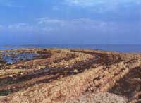 ���B��ʯ�����Π�������������ַQ������