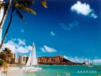 �����ĵ�ɳ�|(zh��)����