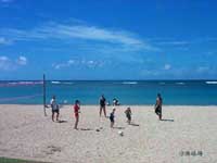 ɳ���ϵ����