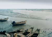 �˳��r�����ຣ��