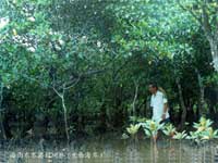 �t��ֲ���̥������Щ�t��ֲ��Ĺ���(sh��)�ڳ������Ȼ����ĸ�������N����ĸ���Ϲ���(sh��)��(n��i)�l(f��)ѿ��