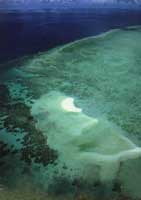 �󱤽�����