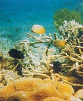 ɺ�����еğᎧ�~