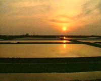 �����}��