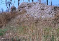 ��۵�̎��Ҋ(ji��n)�Ĺ�ؐ�����z