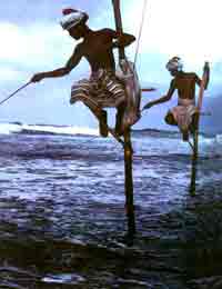 �ϼ������ذ��˂���(x��)�T������ľ������~