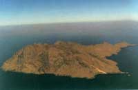 �](m��i)��ֲ�����`ɽ�u