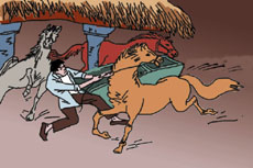 �R���M(j��n)Ȧ�������x��