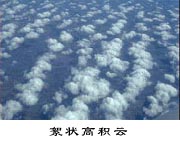 ����߷e��