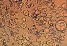 ��(x��)����ֳ�ķ���