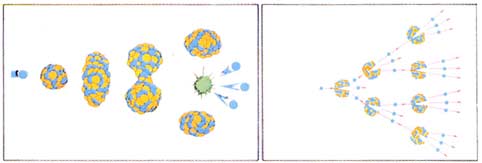 ԭ����׃�Գ��ʽ����