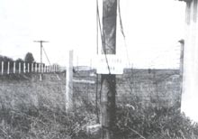 Ŀǰ���Р��Zؐ���Ա��F�z�W(w��ng)�o�o���@