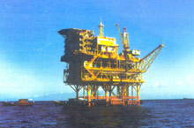 �����;��D�D������ϲɺ��ϣ������ϵ�ʯ��Խ��(l��i)Խ����