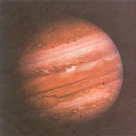 ľ�Ǽ�ľ�l(w��i)һ����