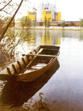 ����(gu��)���P���c������ӶѺ��վ